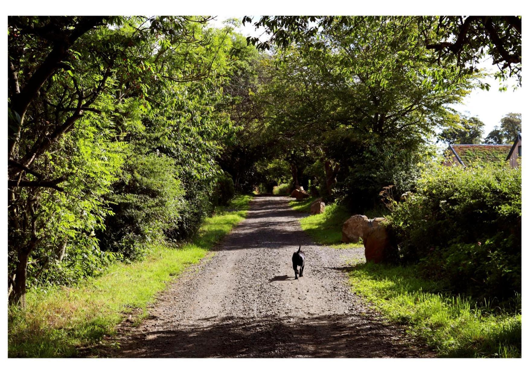 Eco-Lodge With Sea View Charleton Estate Colinsburgh エクステリア 写真